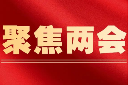 多位代表委員建議：重視生物質能負碳屬性，推動生物質能源產業(yè)發(fā)展